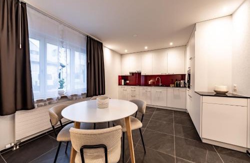 Neuhausen am Rheinfall Apartment | The R Apartment Mittelfelsen - Quiet, Free Parking