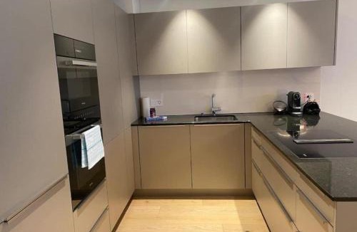 Dietikon District Apartment | The R Apartment Adlisberg