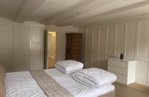 Schaffhausen Apartment | The R Apartment Bodensee - Old Town