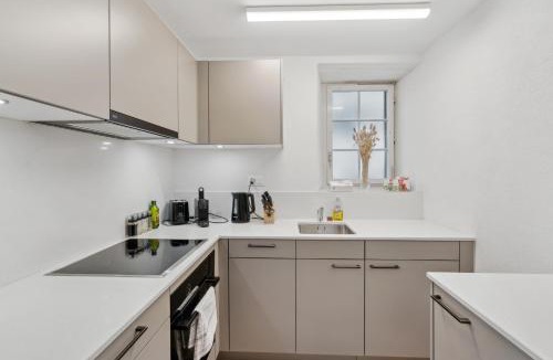 Andelfingen District Apartment | The R Apartment Cholfirst