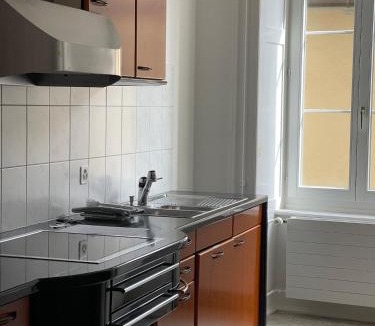 Schaffhausen Apartment | The R Apartment Munot - Old Town