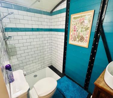 Three Cocks House | The Railway Carriage - Blue