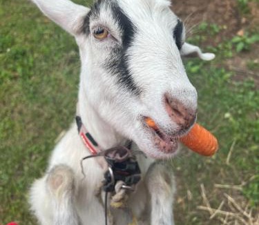 Dungog House | The Rainbow House