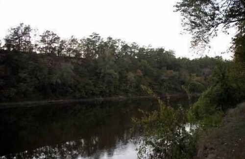 Golden House | The Ranch at River's Bend- Cabin 6- The Vine