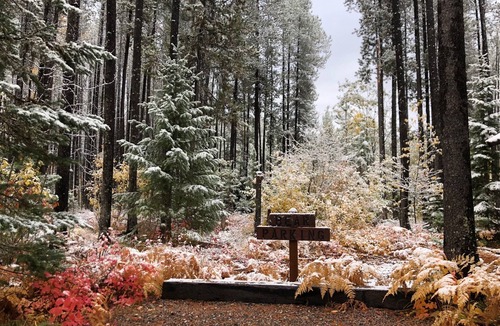 Columbia Falls Cabin | The Reclusive Moose Cabins