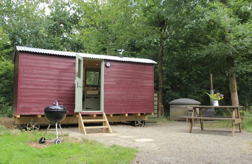 Acton Scott Cabin | The Red Kite Shepherd's Hut