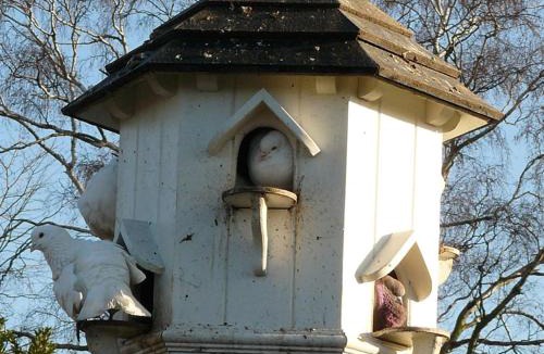 Hinxton Hotel | The Red Lion Hinxton