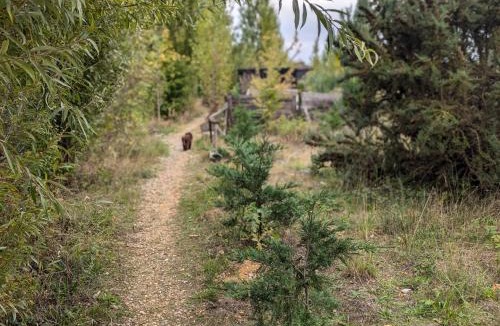 St. Mary's Other | the reedy cabin