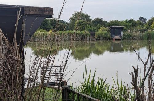 St. Mary's Other | the reedy cabin