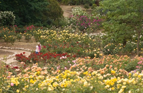 Lyndoch House | The Residence at Barossa Chateau
