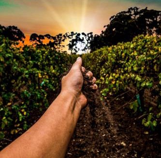 Lyndoch Villa | The Residence at Barossa Chateau