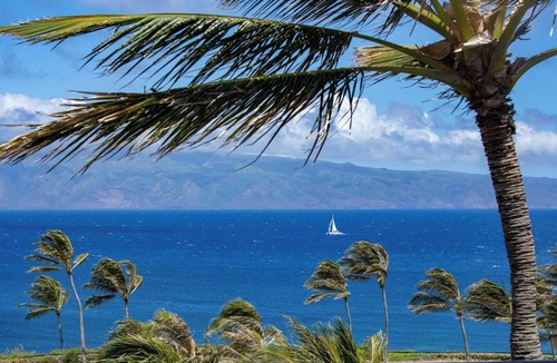 Montage Kapalua Bay Condo | The Resort at Kapalua Bay | Free Rental Car | KBM Resorts | Panoramic Ocean views from 3-Bedroom Luxury unit montage kapalua bay | Single Unit, 3 Bedrooms | MON ML-984