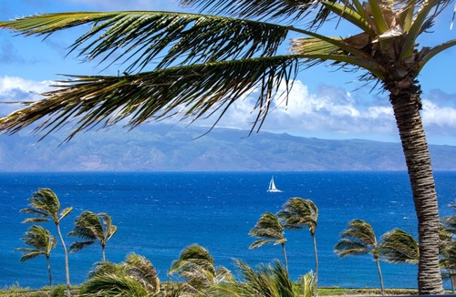 Montage Kapalua Bay Condo | The Resort at Kapalua Bay | Ocean View Villas | KBM Resorts | 2 Units, 6 Bedrooms | MON ML-3818