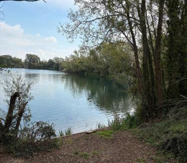 Chichester Resort | The Restful Rose at Chichester Lakeside