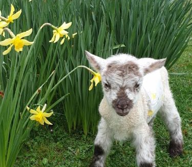 Redlynch House | The Retreat