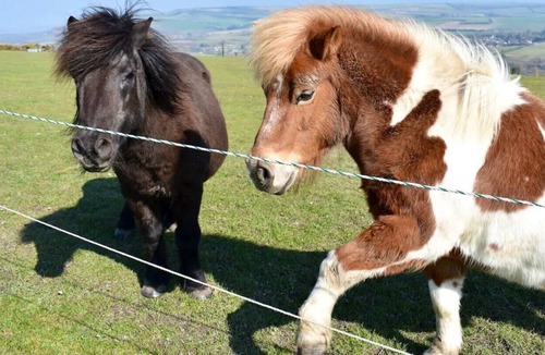 Niton Cabin | The Retreat
