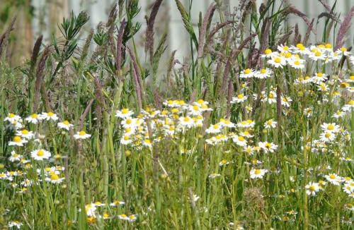 Scawton House | The Retreat