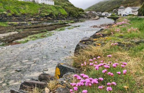 Boscastle Bed & Breakfast | The Riverside