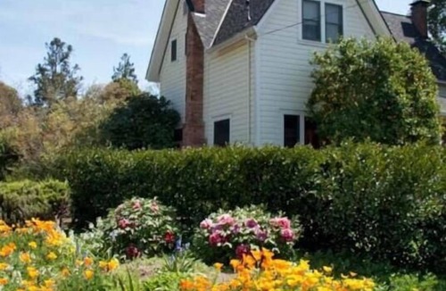Healdsburg Apartment | The Roost - Garden Studio