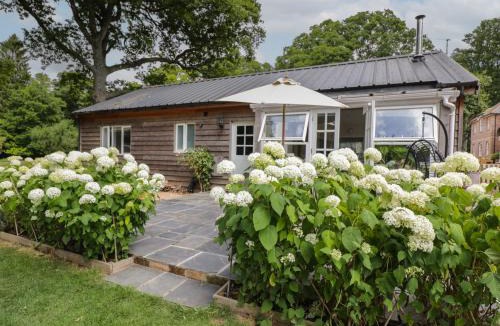 Alresford House | The Roost