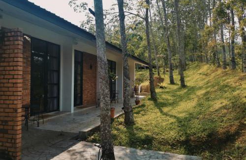 Lendu House | The Rubber Escape, Melaka