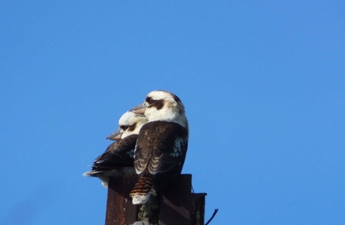 Deep Creek House | The Sanctuary - a peaceful escape