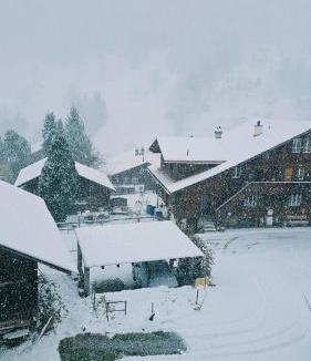 Richigen Cabin | The Saxeten alps