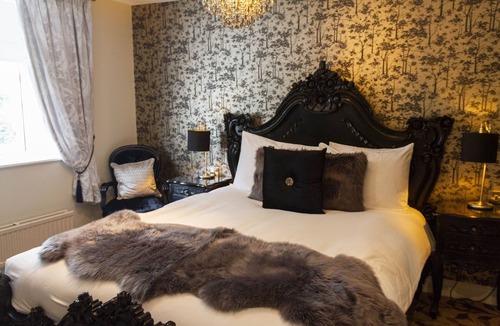 Totnes Hotel | The Sea Trout Inn