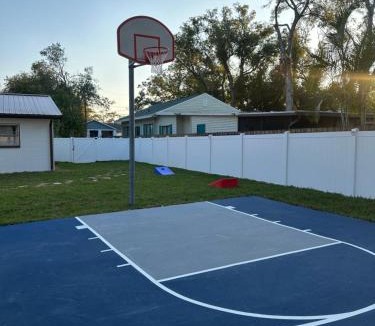 Old Seminole Heights House | The Seminole Heights Suncatcher - Pool & Basketball