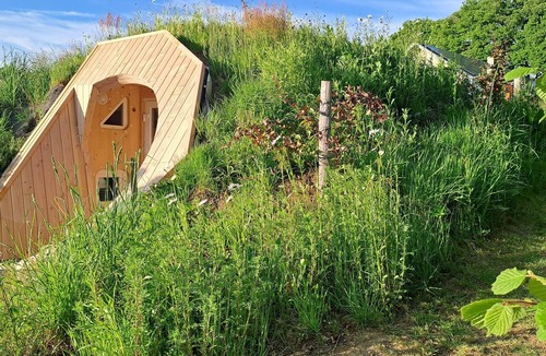 Neuvic Apartment | The sequoia nest