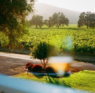 Napa Hotel | The Setting Inn Napa Valley