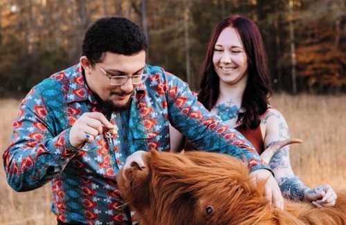 Sedalia RV Rental | The Shaggy Cow Yurt, fluffy cows, shaggy sheep, and burros!