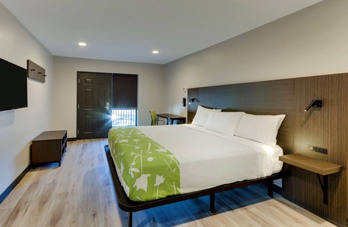 Cicero Hotel | The Shamrock