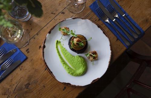 Chute Forest Hotel | The Shears Inn