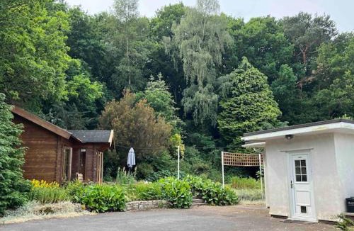 Bishop Sutton Apartment | The 'SHED' Log Cabin, Bishop Sutton