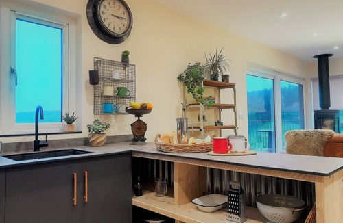 Mary Tavy Cabin | The Shed | Self catering Accommodation