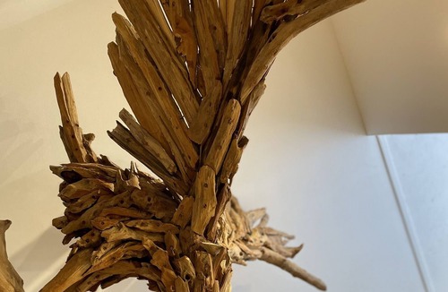 Lamotte-Beuvron Apartment | "the shelter"