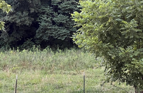 Ironton Cottage | The Shepherd's Cottage