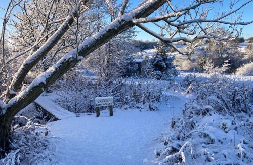 Overton-on-dee Apartment | The Shepherd's Hut with cozy logburner