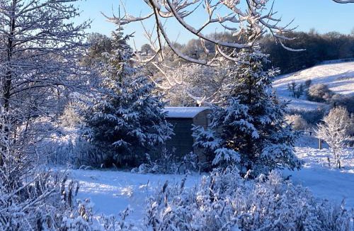 Overton-on-dee Apartment | The Shepherd's Hut with cozy logburner