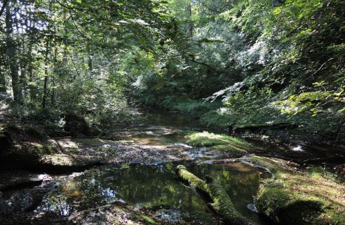 Hurst Green Hotel | The Shireburn Arms