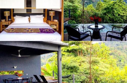 Kampung Pantai Baru Resort | The Shorea