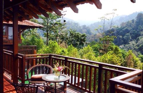 Kampung Pantai Baru Resort | The Shorea