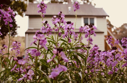 Whanganui Apartment | The Signal Box-Riverside Accommodation