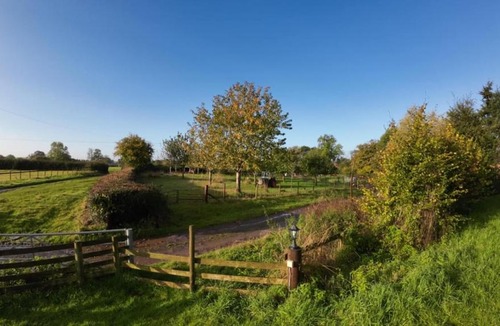 Angelbank Boat Rental | The Sitting Duck