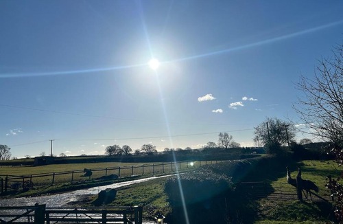 Angelbank Boat Rental | The Sitting Duck