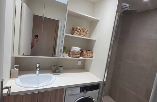 Notre-Dame Apartment | The small Neptune basin