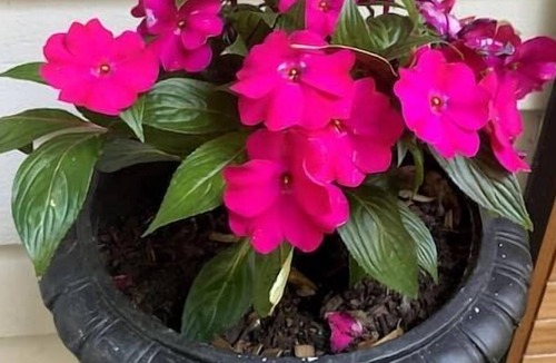 Smiths Lake Ski Chalet | The Smiths Lake Chalet