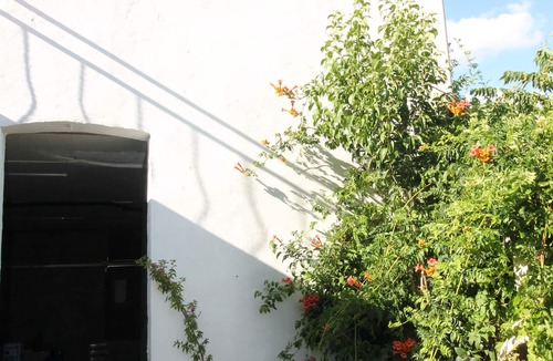 Le Somail Apartment | The Somail Garden