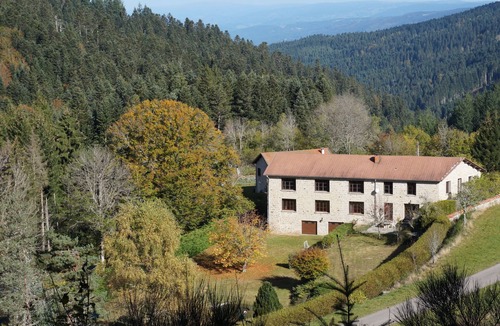 Felines House | THE Souchère-LES-BAINS